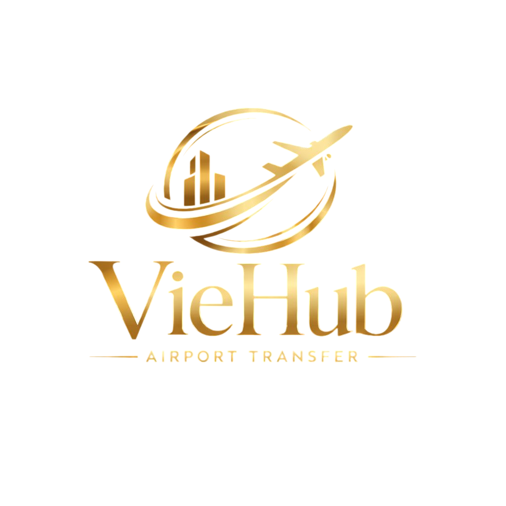 VieHub Logo